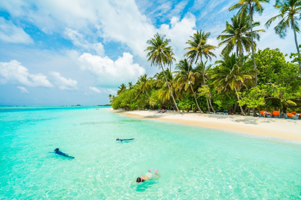 A serene tropical beach scene with clear turquoise water, palm trees, and snorkelers enjoying the calm ocean under a bright blue sky.