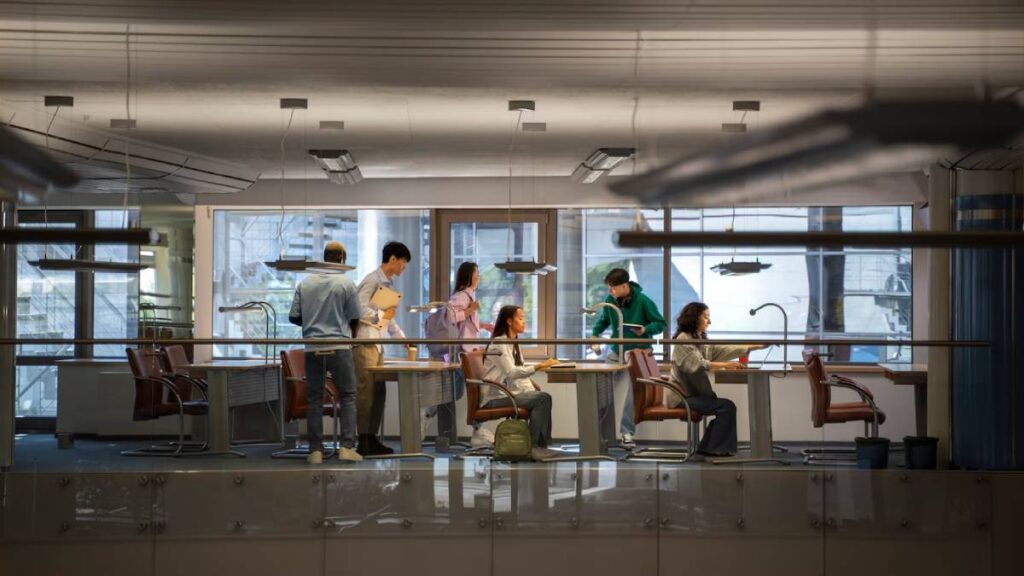 A group of students collaborates in a modern office setting, surrounded by bright natural light and contemporary furnishings.